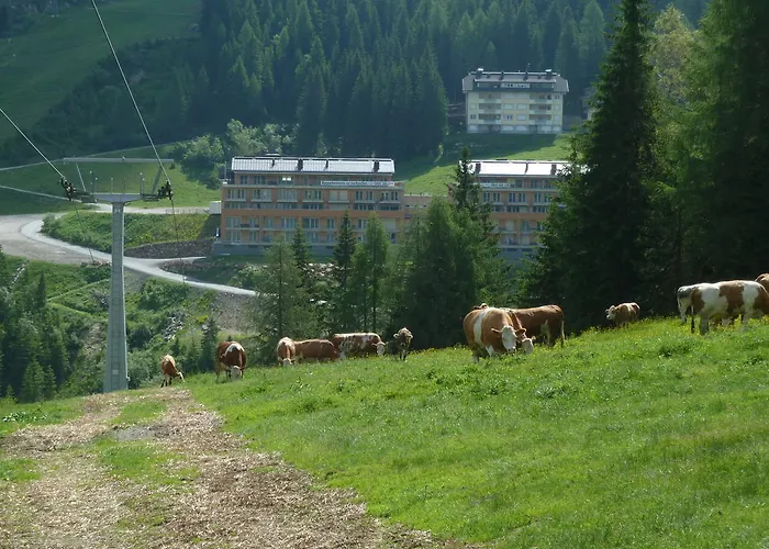 Appartementhaus Ckpk Apartament